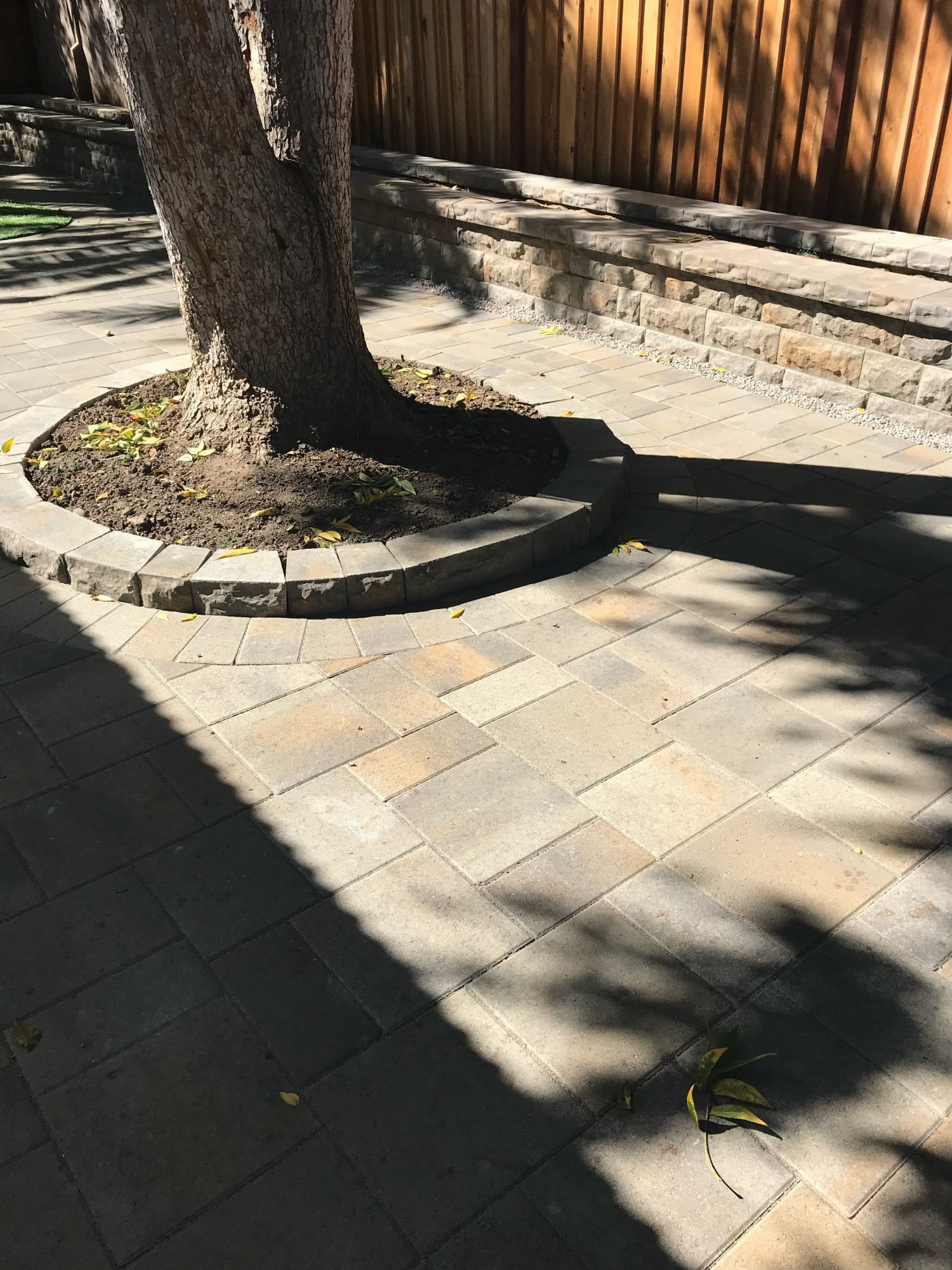 project_10_backyard_patio_shade